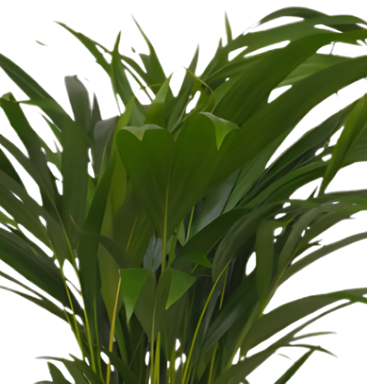 Produktbild 3