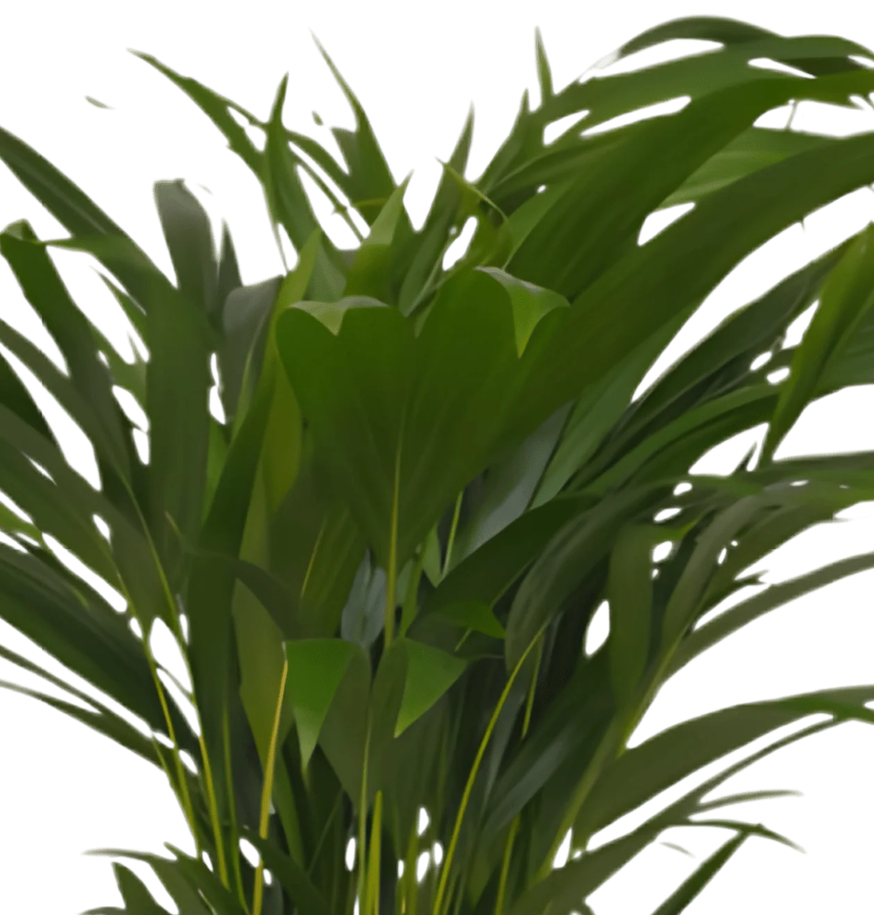 Produktbild 3