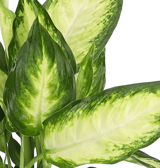 Produktbild 4