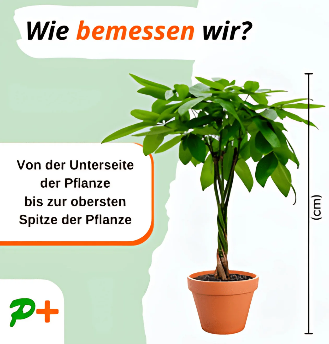 Produktbild 2