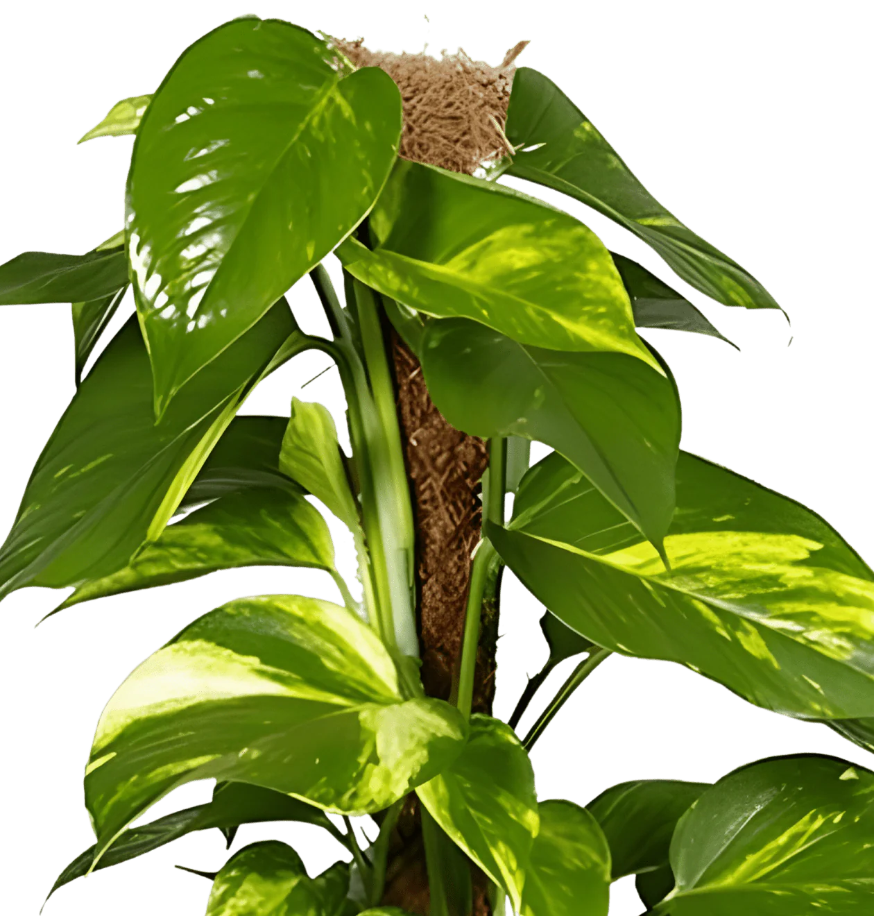 Produktbild 3