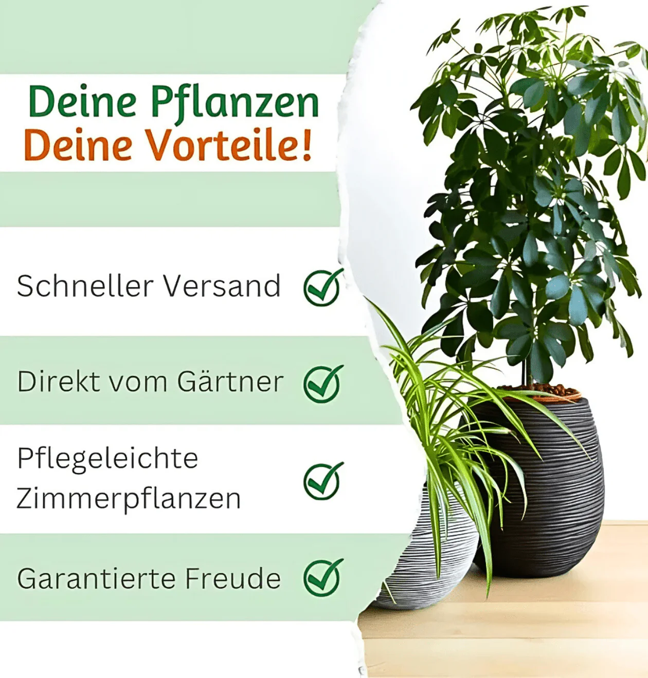 Produktbild 5