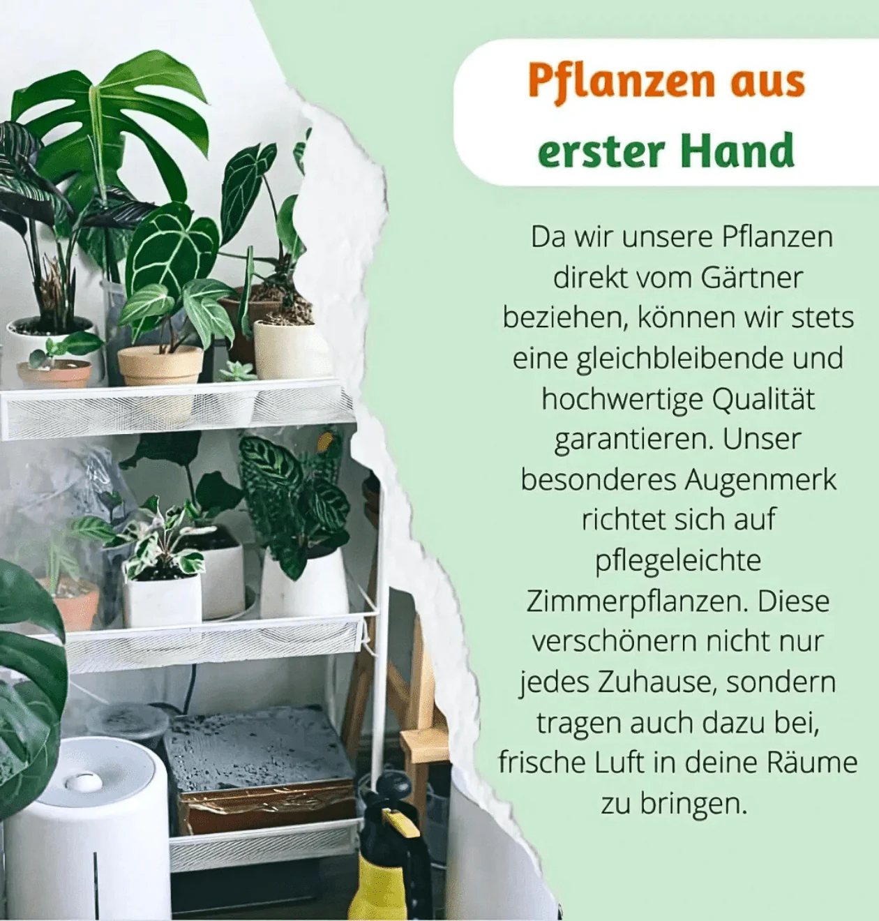 Produktbild 6